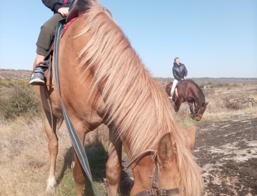 ВОРОНІВСЬКИЙ КІННИЙ КЛУБ