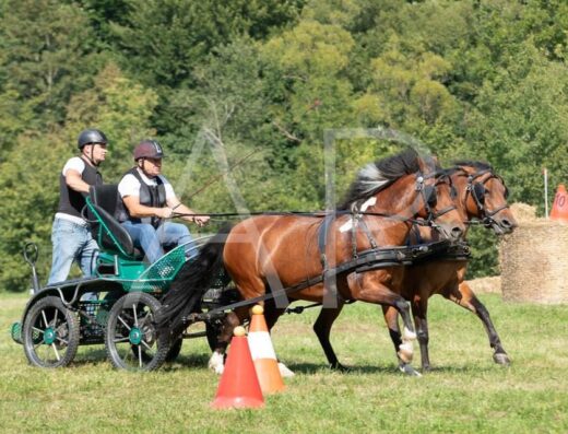 Кінно-спортивний клуб “Сивка”