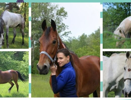 Кінно-спортивний клуб “Кінний двір”