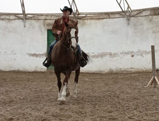 Кінно-спортивний клуб Олександра Гурова