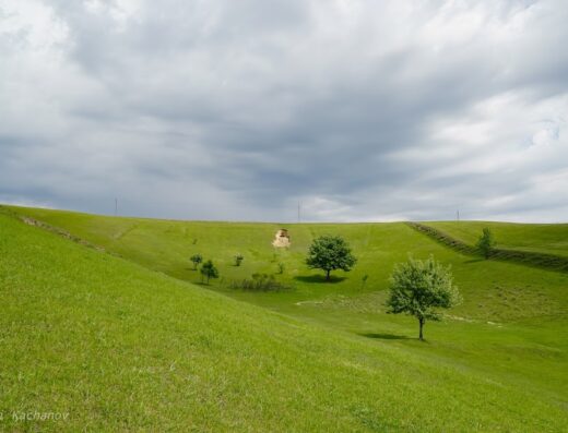 Ферма “Sheepland”