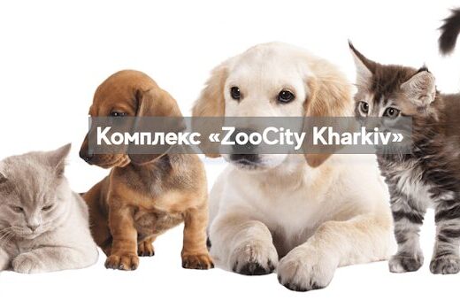 Майданчик для вигулу собак КП ЦОЖ