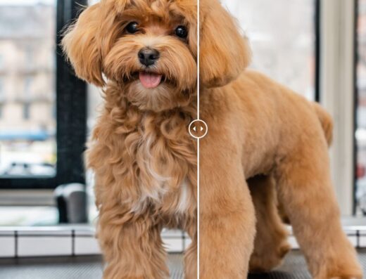 Грумінг салон “Barber Pet”