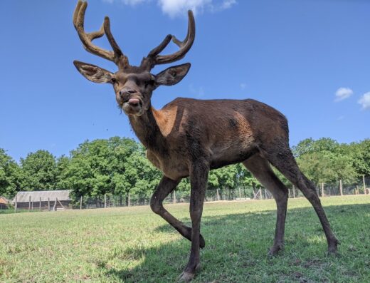 Екопарк “Попівка”