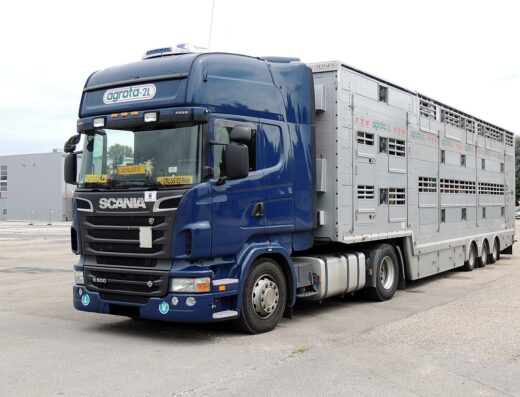 “Гайота транс” - перевезення ВРХ худоби