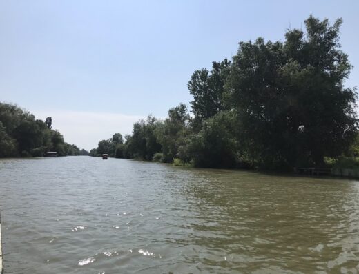 Дунайський біосферний заповідник