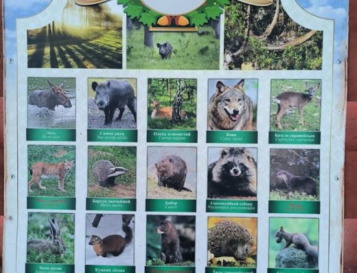 Черемський природний заповідник