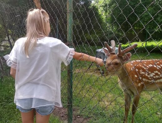Природний заповідник “Розточчя”