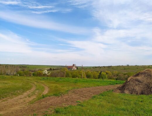Природний заповідник “Єланецький степ”