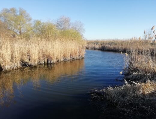 Нижньодністровський національний природний парк