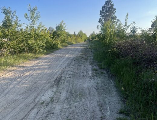 Рівненський природний заповідник