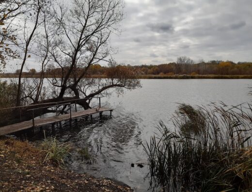Музейно-природний заповідник “Тобілевичі”