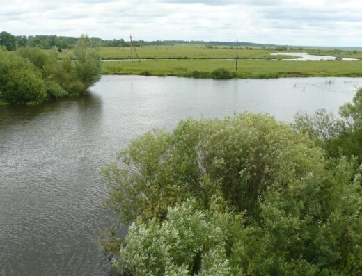 Природний заповідник “Древлянський”