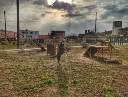 Майданчик для вигулу собак