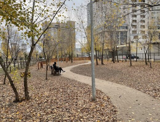 Собачий парк