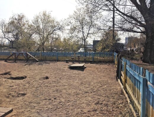 Майданчик для дресирування собак