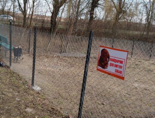 Майданчик для вигулу собак