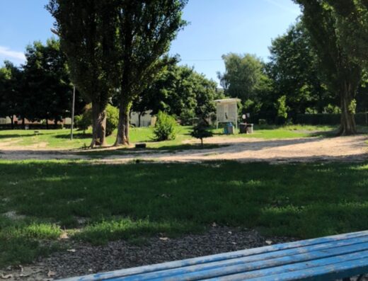 Місце для вигулу собак