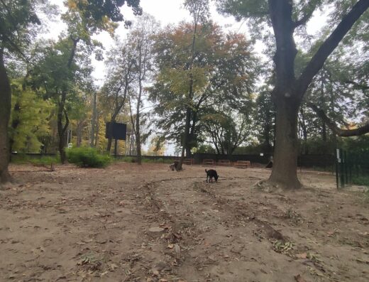 Парк для вигулу собак