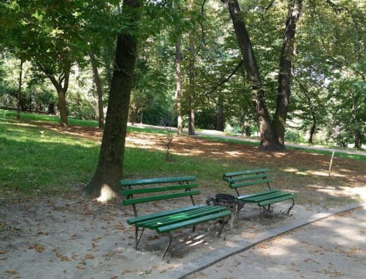 Майданчик для вигулу собак