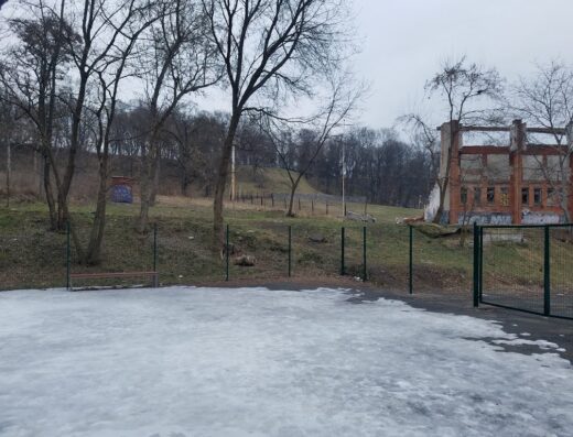 Місце вигулу собак