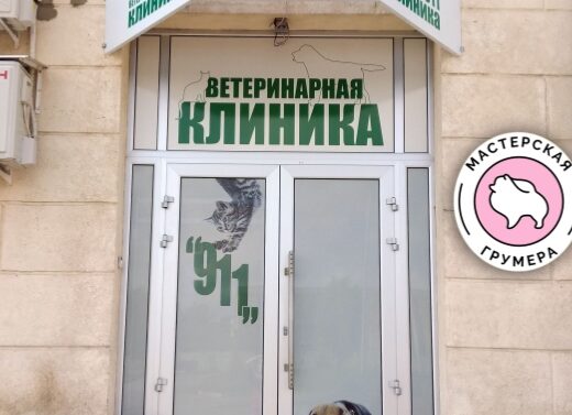 Мастерская грумера