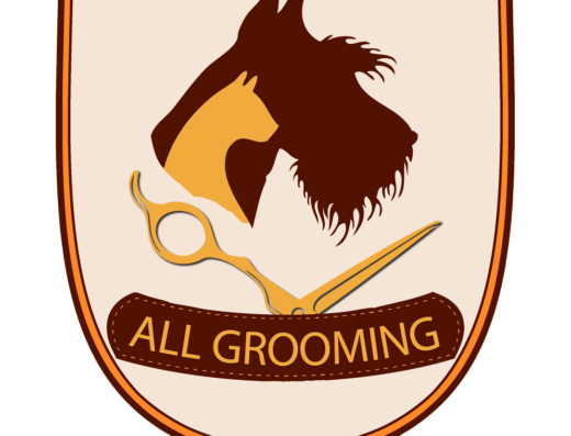 Курсы груминга All-Grooming – обучение стрижке собак, котов и кошек в Харькове