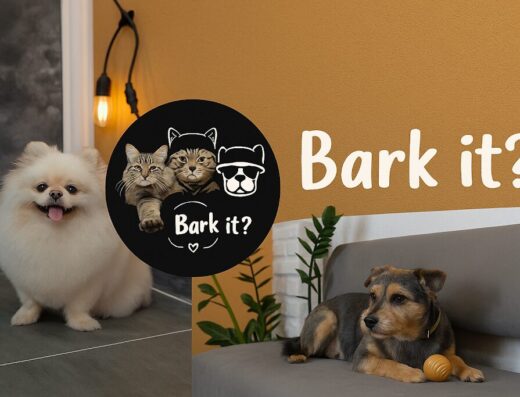 Bark It Pet Grooming