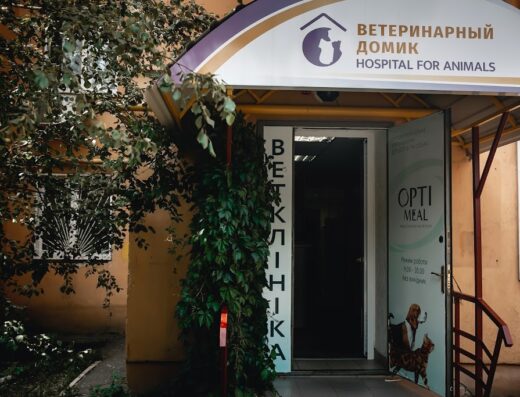 Ветеринарный домик