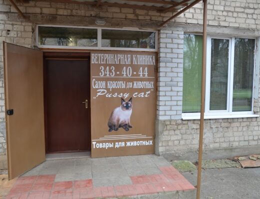 Ветеринарная клиника и груминг салон Pussy Cat