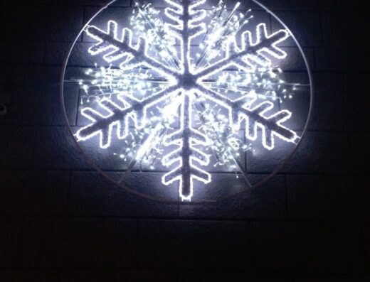 Ветеринар на дім Харків