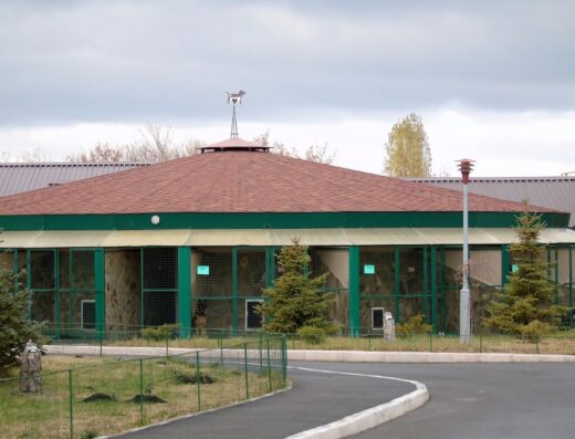 Готель (перетримка) для котів та собак