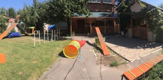 Центр делікатної кінології “Каніс-клуб”