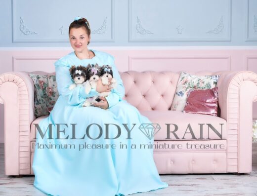 Розплідник Бівер Йоркширських Тер’єрів MelodyRain у Києві