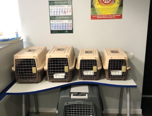 Ветеринарна лабораторія “НеоВетЛаб - Україна”