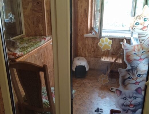 Перетримка тварин, готель для тварин