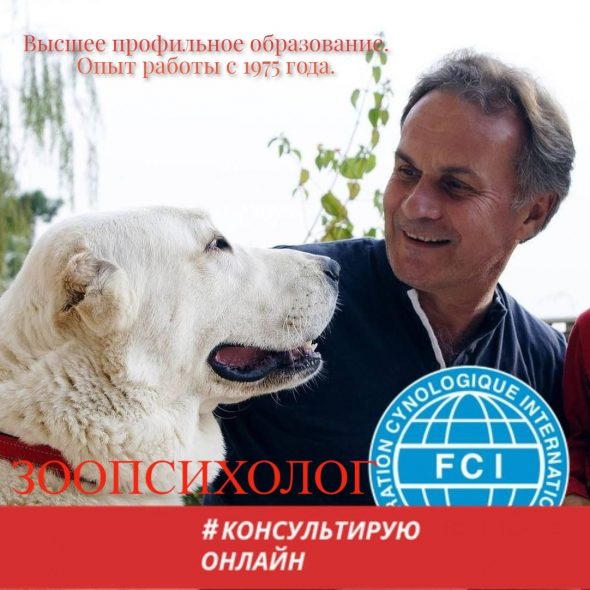 Сергій Клочко