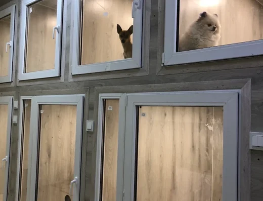 Ветеринарний центр “Звірополіс”