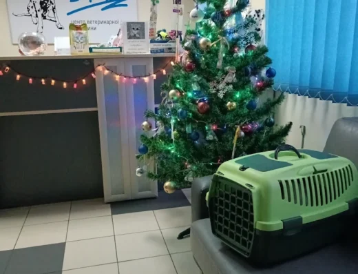 Центр ветеринарної медицини “Друг”
