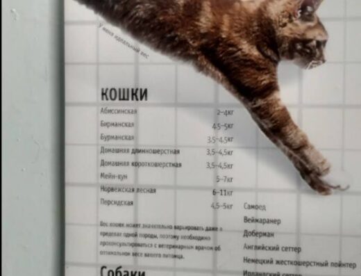 Ветеринарна клініка Одеського цирку