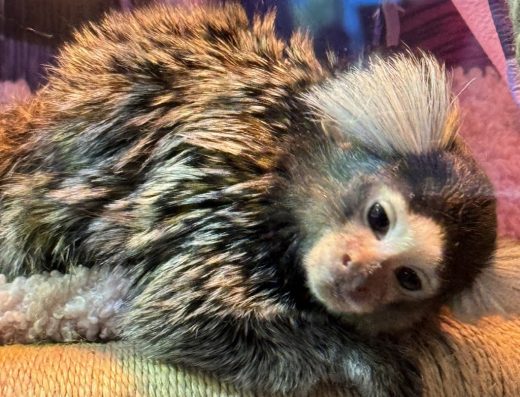 Зоопарк “Жива планета”