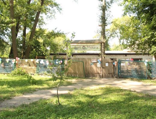 Контактний зоопарк “Бабусине подвір’я”