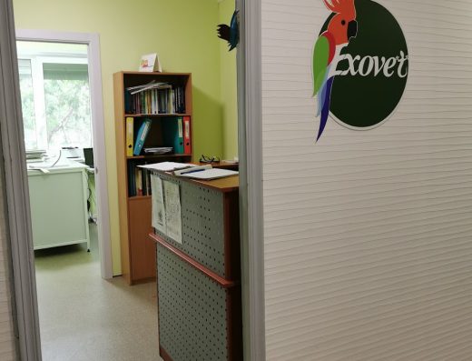 Ветеринарна амбулаторія для птахів та екзотичних тварин “Exovet”