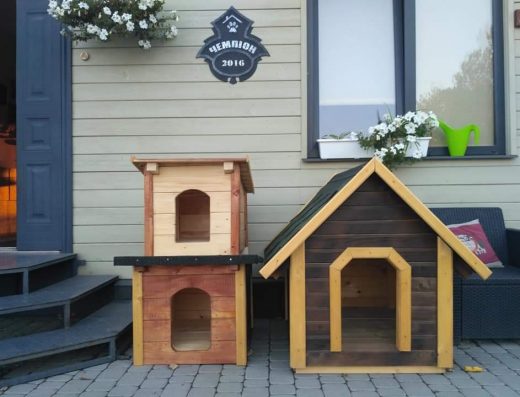 Центр дозвілля для собак “Чемпіон”