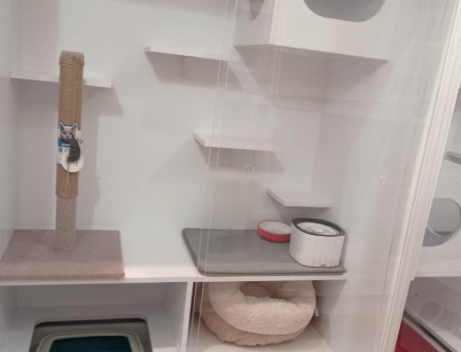 Готель для котів “Муркотель”