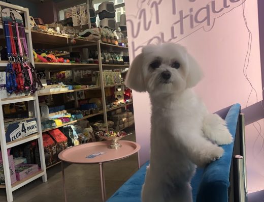 Зоомагазин “Animal boutique”