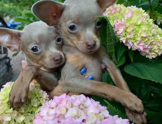 Бісер Києва