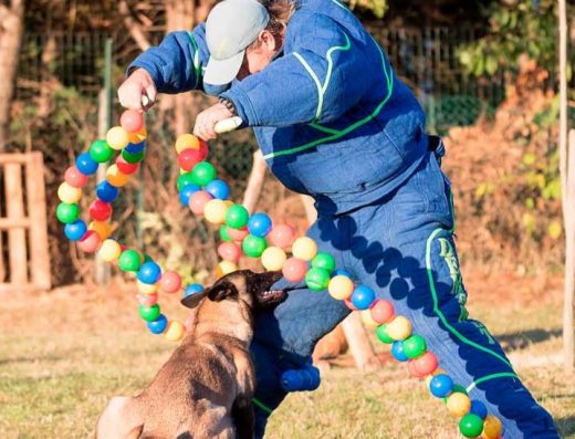 Дресирування Собак ЦСК «Rex Zone»