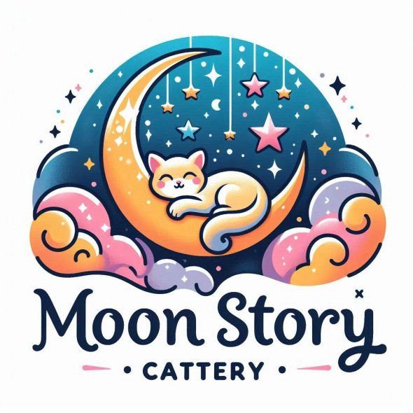 Moonstorycattery