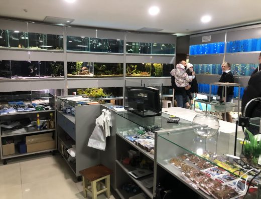 Магазин акваріумістики “Студія аквадизайну”